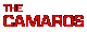 camaros_head.gif (766 bytes)
